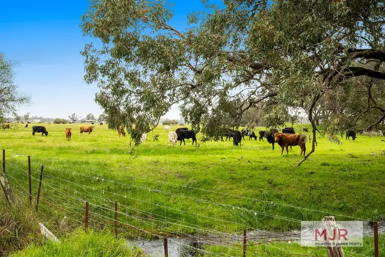 Main view of Homely land listing, River Road, Hopeland WA 6125