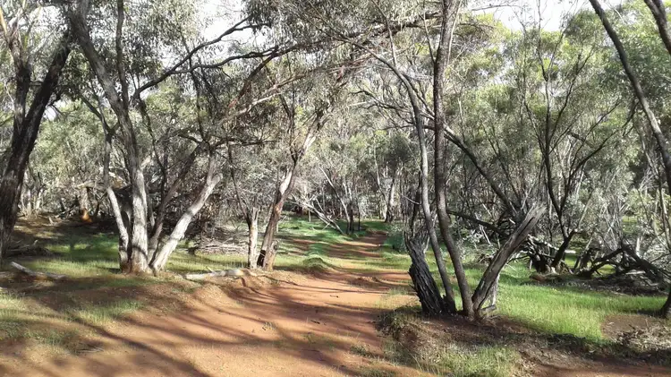 Third view of Homely land listing, 59 Timber Creek Crescent, Coondle WA 6566