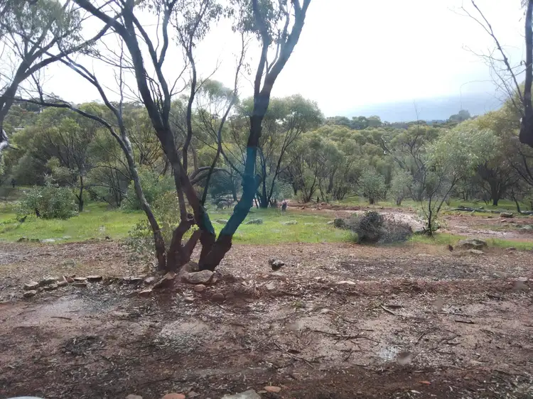 Sixth view of Homely land listing, 59 Timber Creek Crescent, Coondle WA 6566
