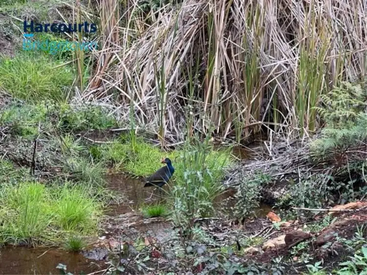 Fifth view of Homely land listing, 22/0 Kangaroo Gully Road, Kangaroo Gully WA 6255
