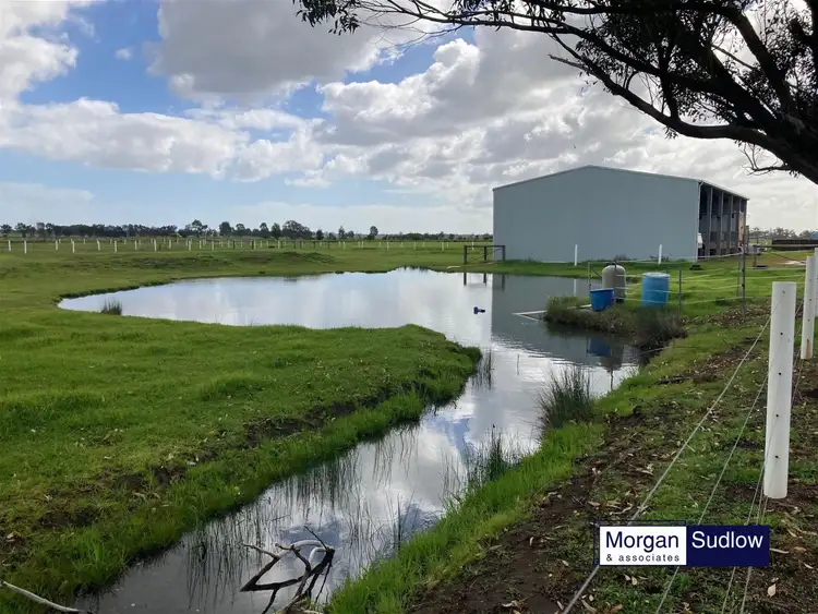 Fourth view of Homely rural property listing, 148 PARTRIDGE ROAD, Benger WA 6223