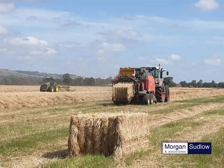 Sixth view of Homely rural property listing, 148 PARTRIDGE ROAD, Benger WA 6223
