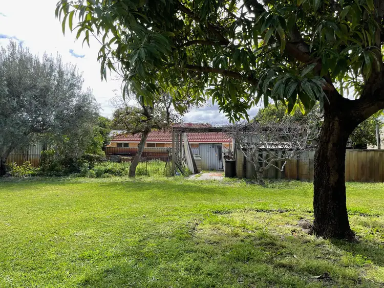 Sixth view of Homely house listing, 19 Daley Street, Yokine WA 6060