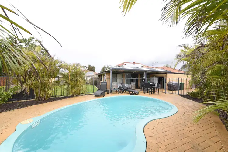 Main view of Homely house listing, 7 Mulga Court, Banksia Grove WA 6031