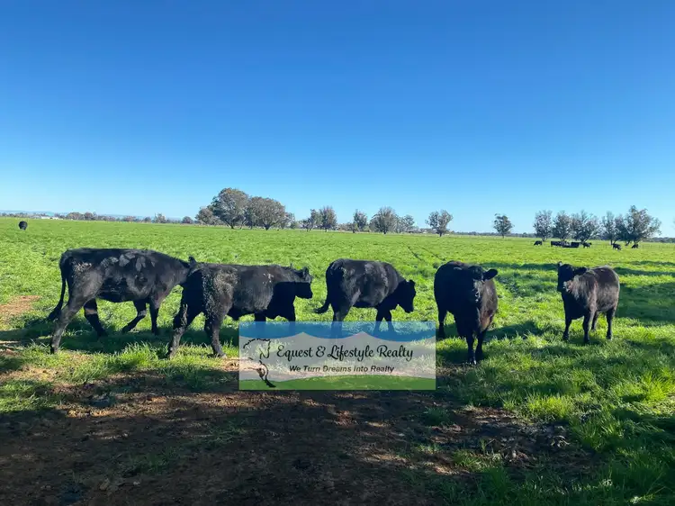 Main view of Homely land listing, 44 Wickham Road, Yarloop WA 6218
