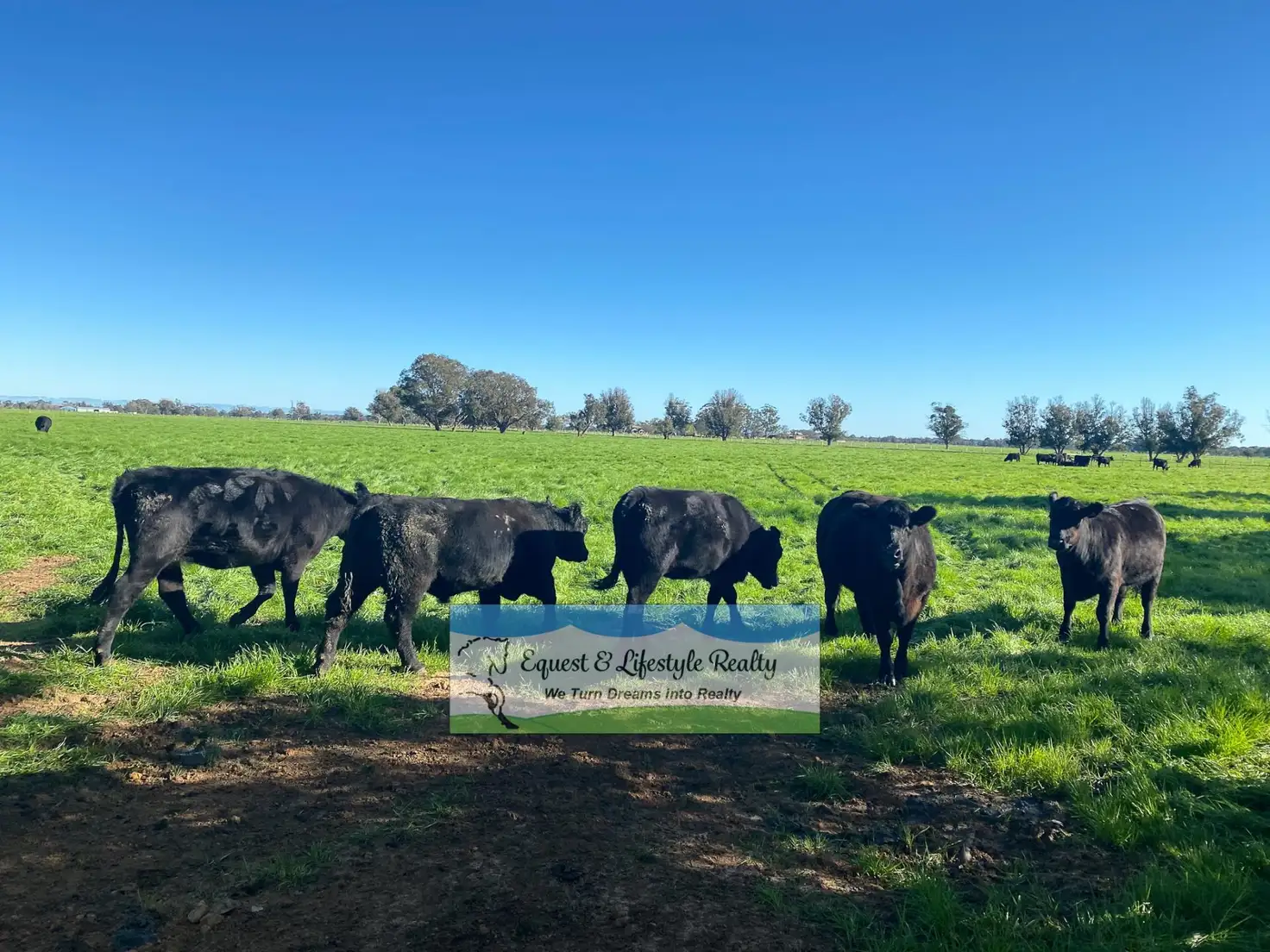 Main view of Homely land listing, 44 Wickham Road, Yarloop WA 6218