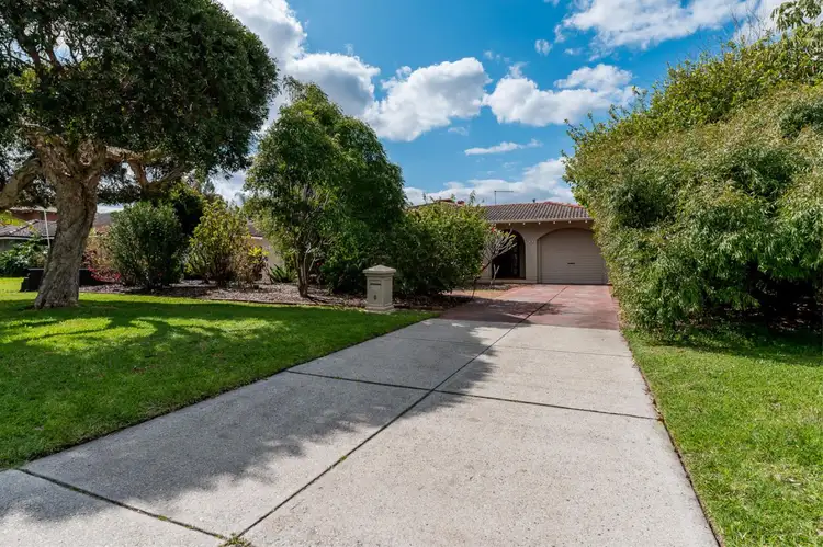 Main view of Homely house listing, 6 Hall Avenue, Maylands WA 6051
