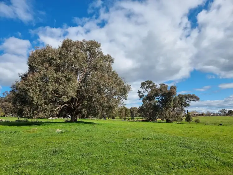 Fourth view of Homely land listing, 198 Banks Road, Boyup Brook WA 6244