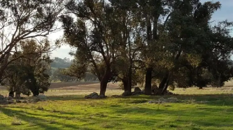 Fifth view of Homely land listing, 198 Banks Road, Boyup Brook WA 6244
