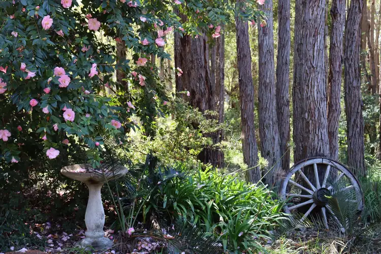 Second view of Homely house listing, 1880 Walker Street, Sawyers Valley WA 6074