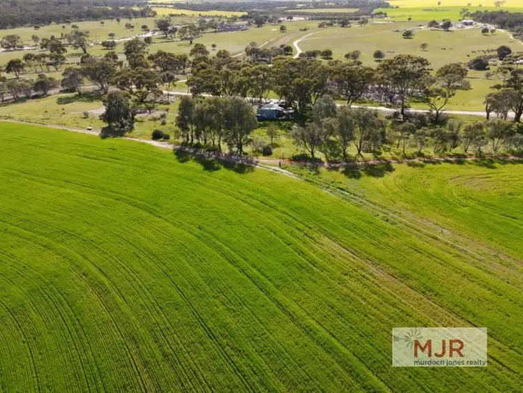 Third view of Homely land listing, Lot 556 Quairading-York Road, Kauring WA 6302