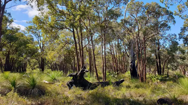 Main view of Homely land listing, 288 Rosewood Drive, Chittering WA 6084