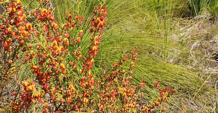 Fourth view of Homely land listing, 288 Rosewood Drive, Chittering WA 6084