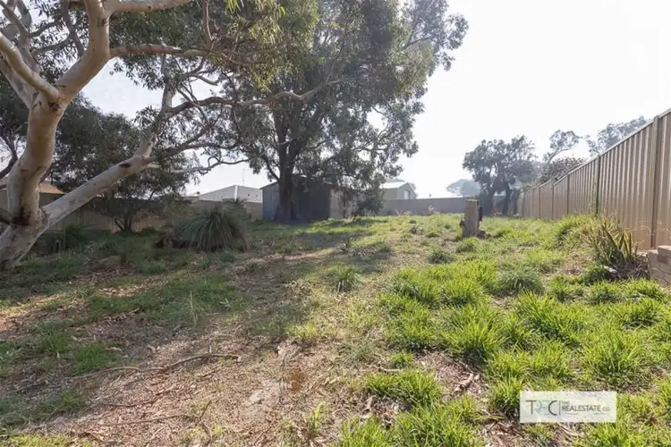 Third view of Homely house listing, 24 Crusader Street, Falcon WA 6210