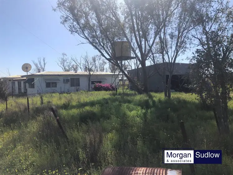 Seventh view of Homely rural property listing, 1117 Mollerin Rock South Road, Lake Margarette WA 6475