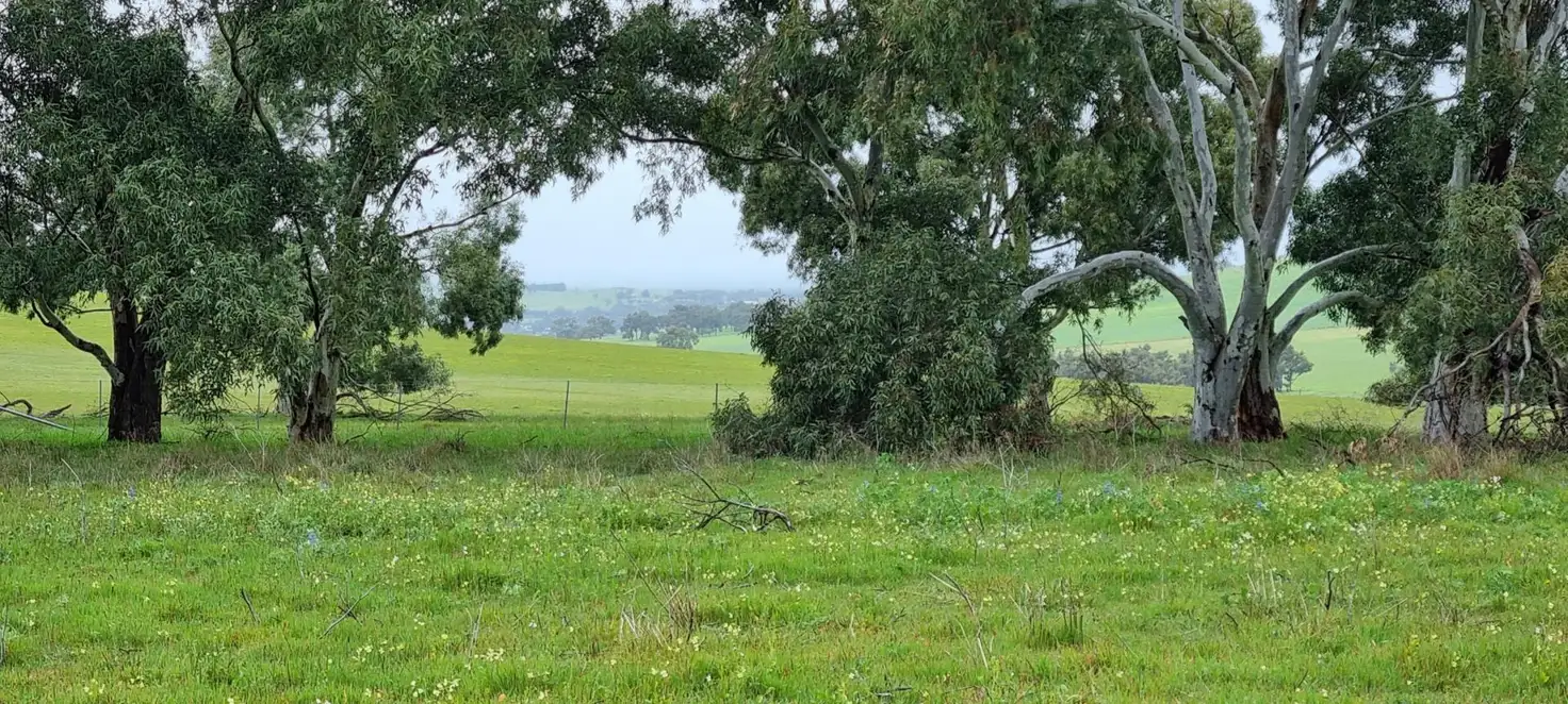 Main view of Homely land listing, Lot 66, Starbush Way, Ginginup WA 6503