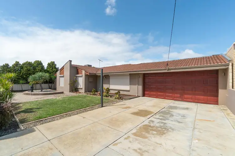 Main view of Homely house listing, 31 Oakleaf Circle, Mirrabooka WA 6061