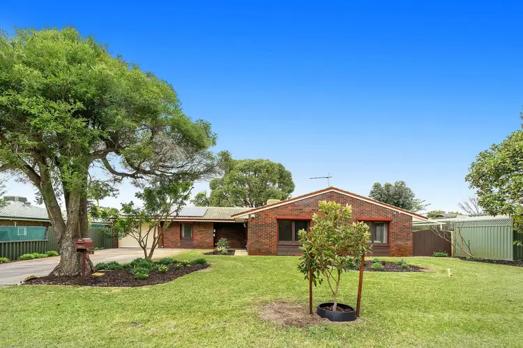 Main view of Homely house listing, 54 Windsor Drive, Gosnells WA 6110