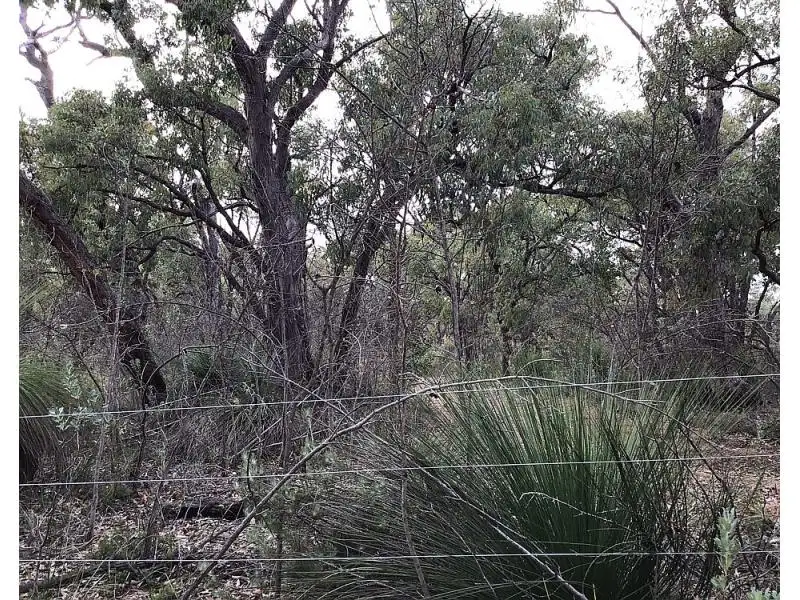 Main view of Homely land listing, 30 Donegan View, Toodyay WA 6566