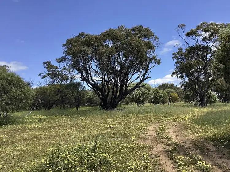 Main view of Homely land listing, 44 Bejoording Road, Bejoording WA 6566
