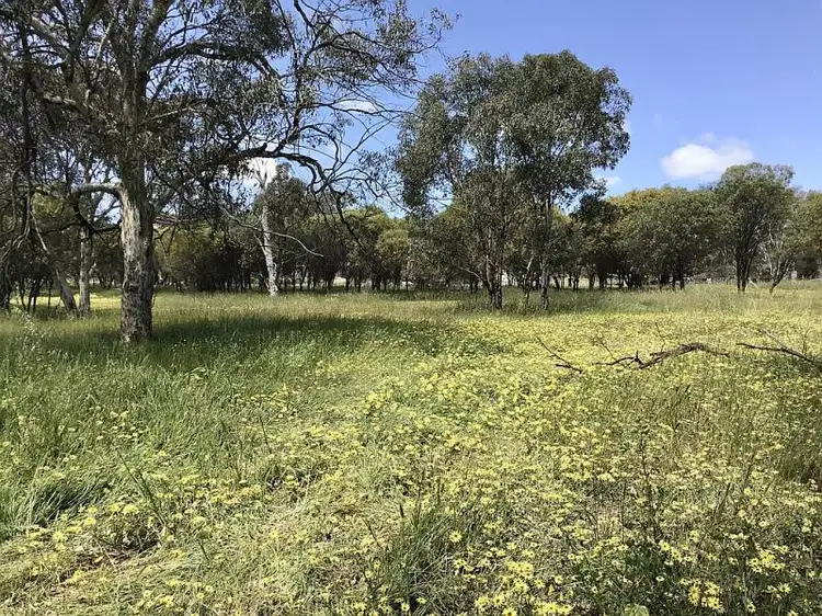 Second view of Homely land listing, 44 Bejoording Road, Bejoording WA 6566
