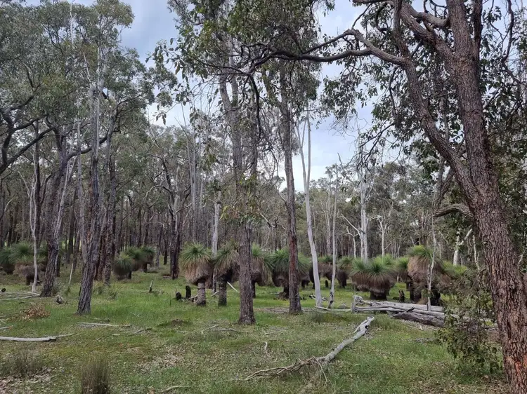 Main view of Homely land listing, 323 Abels Road, Boyup Brook WA 6244