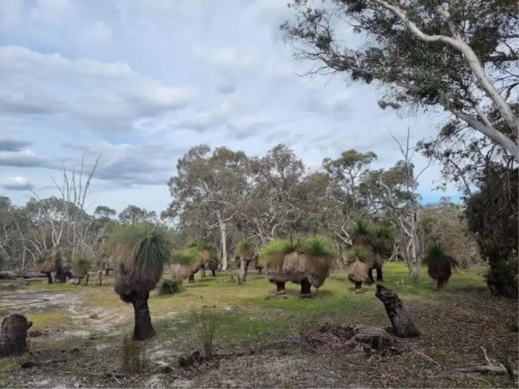 Second view of Homely land listing, 323 Abels Road, Boyup Brook WA 6244