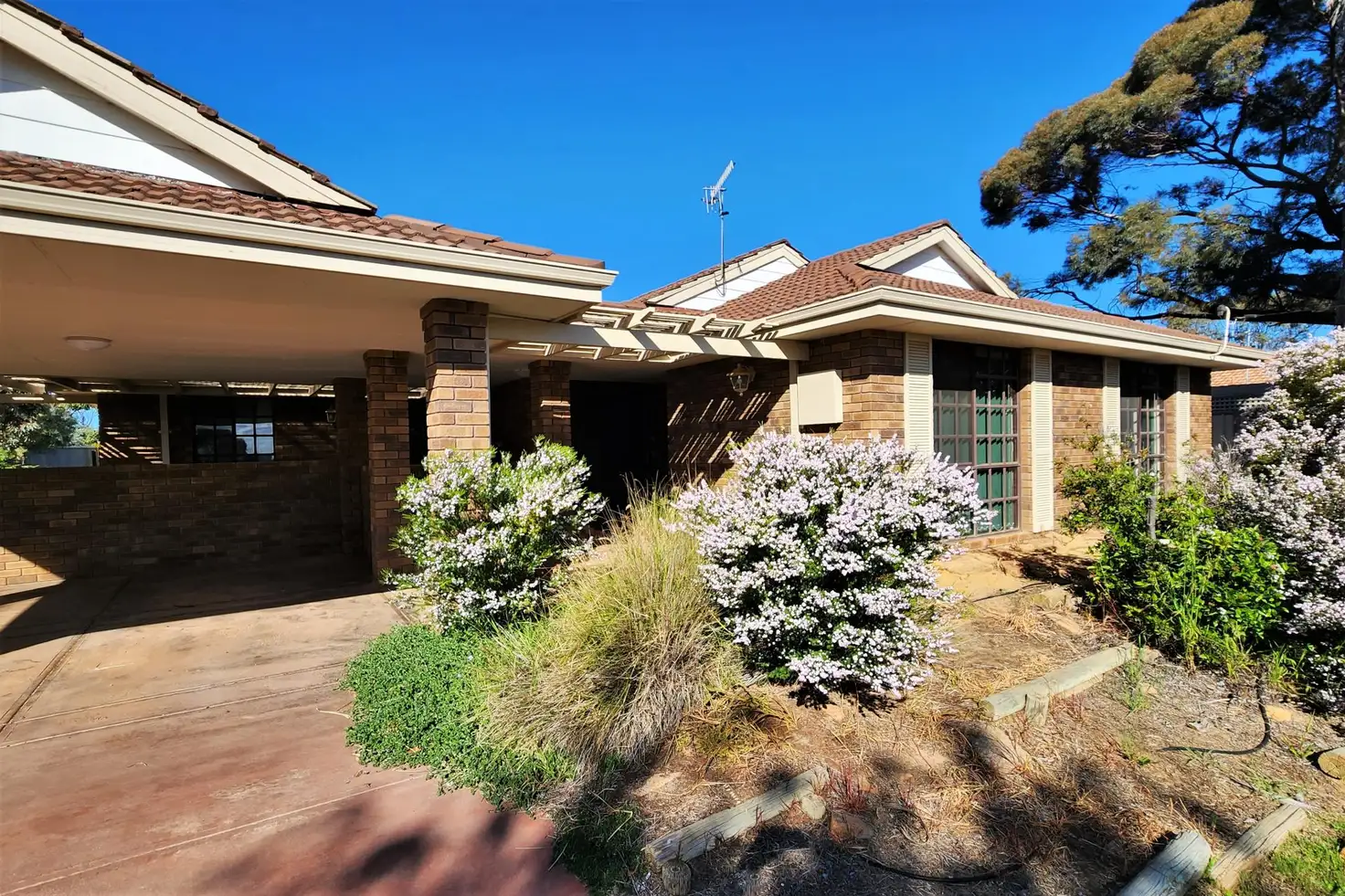 Main view of Homely house listing, 3 Banksia Place, Lake Grace WA 6353