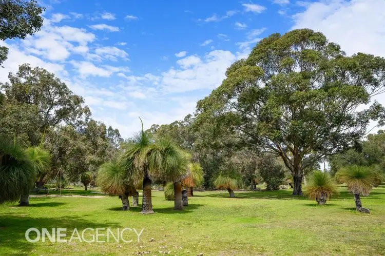 6B Pomfret Road, Spearwood WA 6163