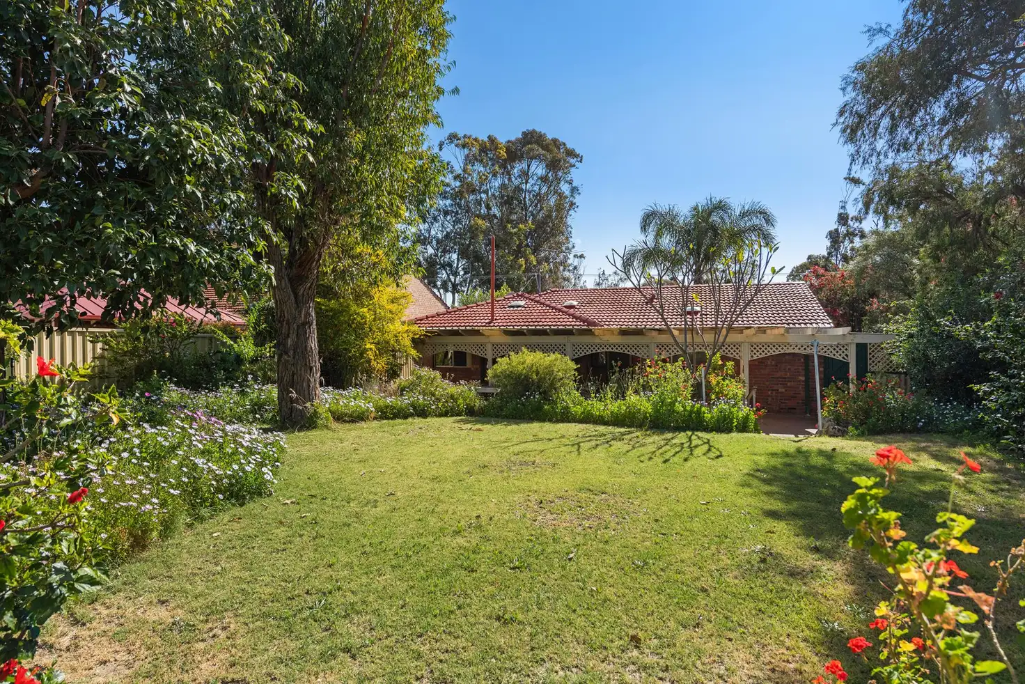 Main view of Homely house listing, 24 Civic Drive, Wanneroo WA 6065