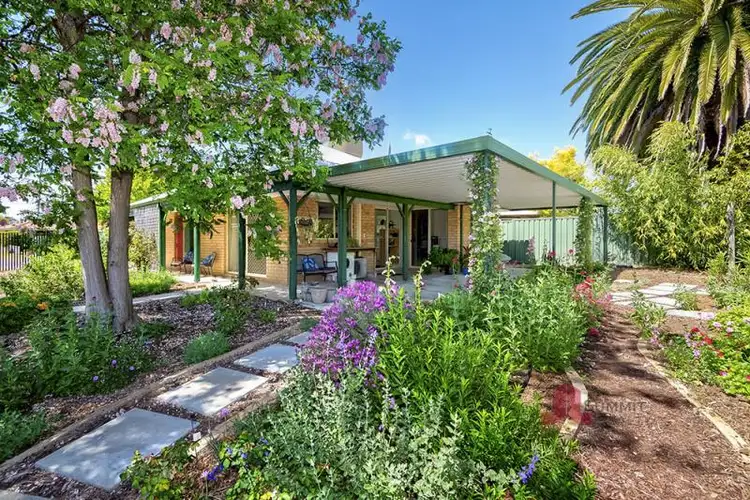Main view of Homely house listing, 1 Wattle Bird Court, Capel WA 6271