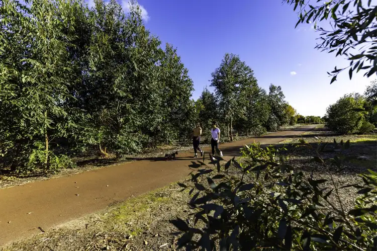 Lot 527 Tarwhine Drive, Vasse WA 6280