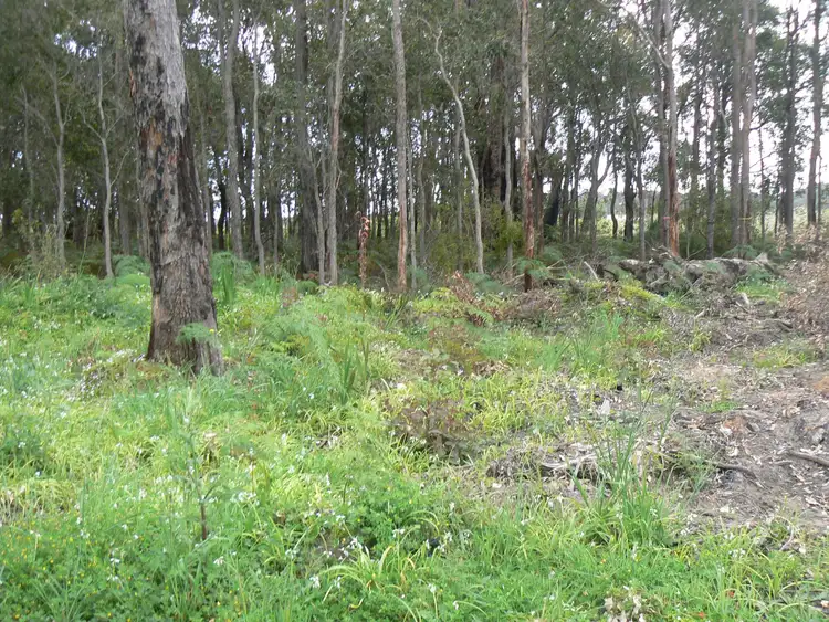 Fifth view of Homely land listing, Lot 201, South Western Highway, Donnybrook WA 6239