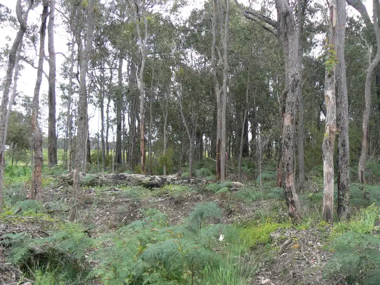 Sixth view of Homely land listing, Lot 201, South Western Highway, Donnybrook WA 6239