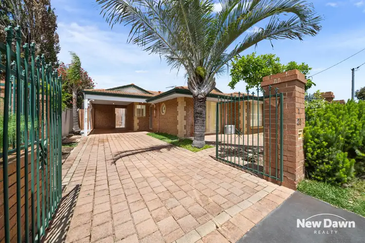 1/20 Daley Street