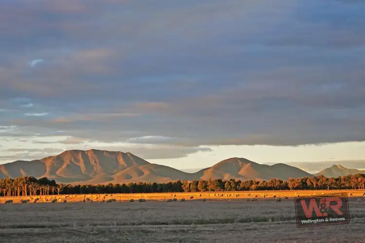 Main view of Homely house listing, 2073 Red Gum Pass Road, Kendenup WA 6323