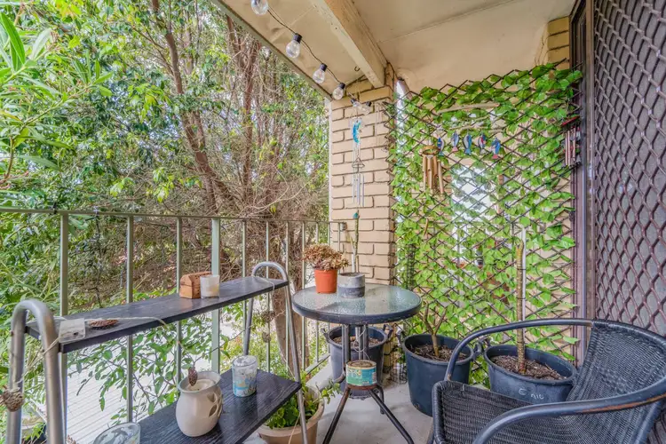 Seventh view of Homely unit listing, 13/72 Hastings Street, Scarborough WA 6019