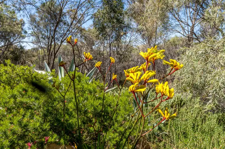 Fifth view of Homely land listing, 81 Wilkerson Rd, West Toodyay, Toodyay WA 6566