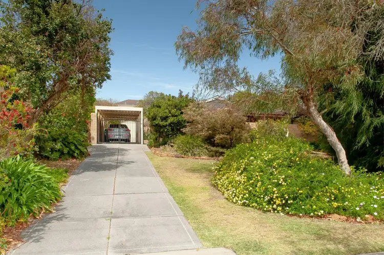 6 Colin Road, Scarborough WA 6019