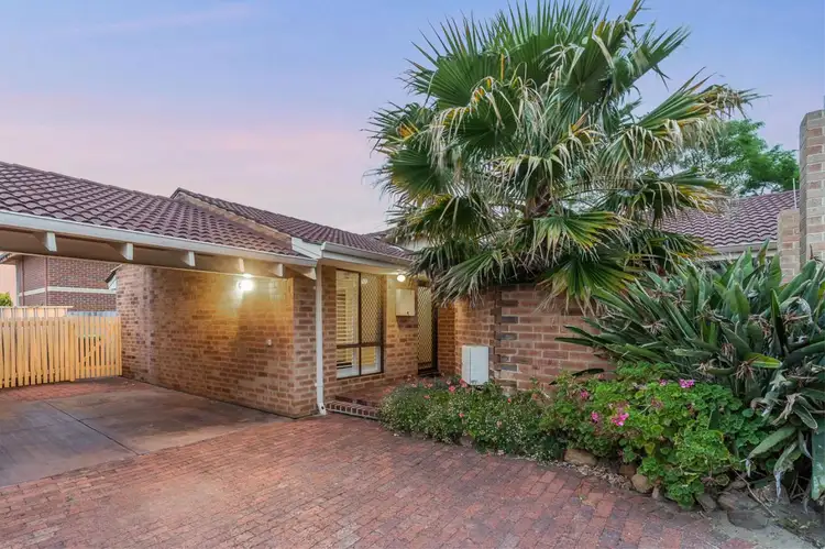 Main view of Homely villa listing, 3/9 Hayes Avenue, Yokine WA 6060