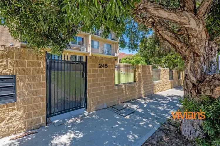 Main view of Homely apartment listing, 11/245 Cambridge Street, Wembley WA 6014