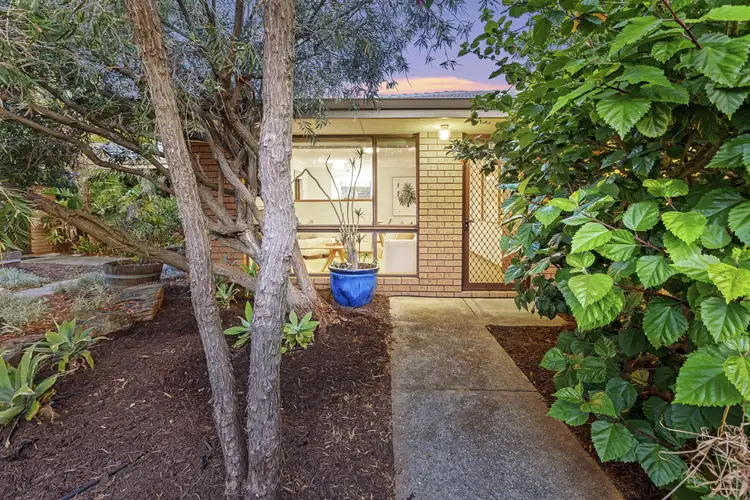 Second view of Homely unit listing, 1/151 Gildercliffe Street, Scarborough WA 6019