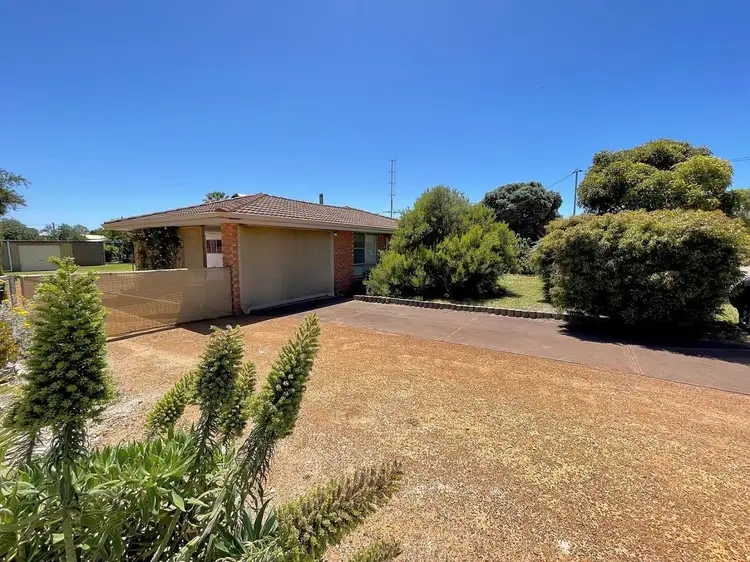 Main view of Homely house listing, 29 Mungan Street, Esperance WA 6450