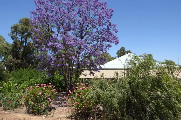 22 York Street, Watheroo WA 6513
