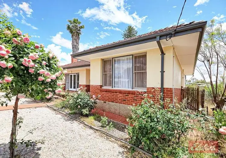 Fourth view of Homely house listing, 28 Park Street, Pingelly WA 6308