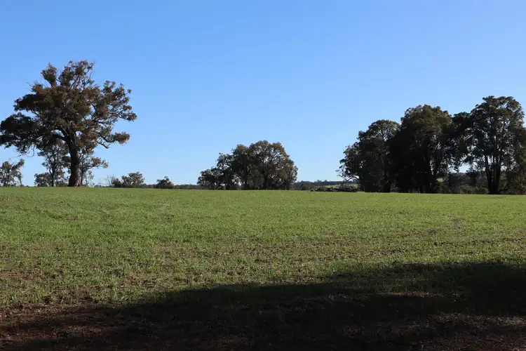 Fourth view of Homely rural property listing, 3153 Pig Gully Road, Williams WA 6391