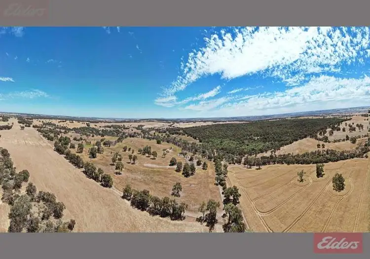 Fifth view of Homely rural property listing, 3153 Pig Gully Road, Williams WA 6391
