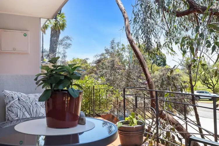 Third view of Homely house listing, 113 Bradford Street, Coolbinia WA 6050