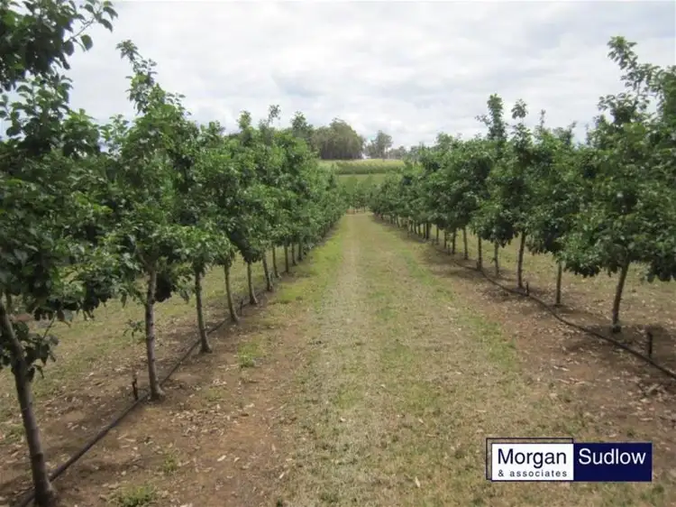 Main view of Homely rural property listing, 275 Springall Road, Deanmill WA 6258