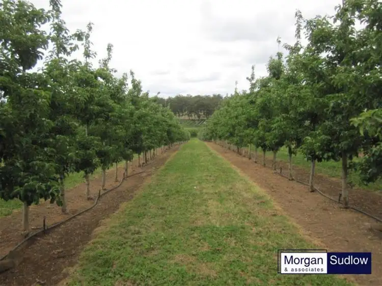 Second view of Homely rural property listing, 275 Springall Road, Deanmill WA 6258